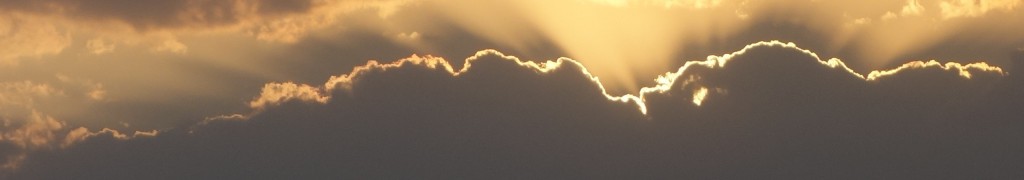 cropped-header1.jpg